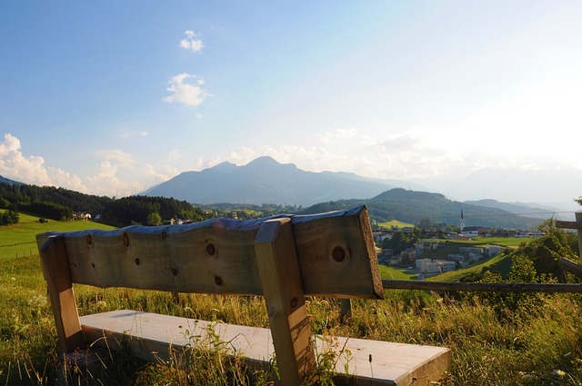 鹿岛鹿角以