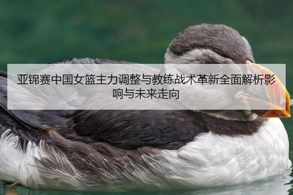 亚锦赛中国女篮主力调整与教练战术革新全面解析影响与未来走向